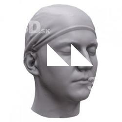 Abraham Base Head Scan