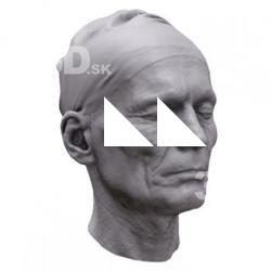 Milan Base Head Scan