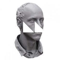 Cesar Base Head Scan