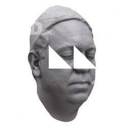 Sergei Base Head Scan
