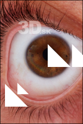 Cary Stanley HD Eyes