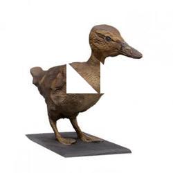 Mallard duck Animal Base Scan