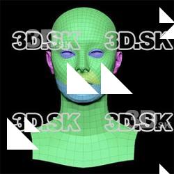 Retopologized 3D Head scan of Anneli SubDivision