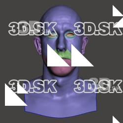 Retopologized 3D Head scan of Zdenekk SubDivision