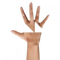 Alexia Madrid Retopologized 3D Hand scan