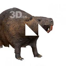 River Nutria Animal Base Scan