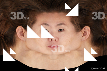 Head Texture Hamano Masako