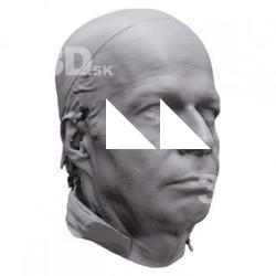 Radovan Base Head Scan