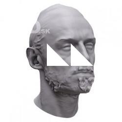 Alberth Base Head Scan