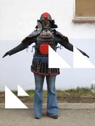  Photos Medieval Knight in plate armor 22 