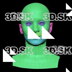 Retopologized 3D Head scan of Aisha Bonobo SubDivision