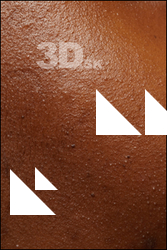 HD Face Skin Dina Moses 