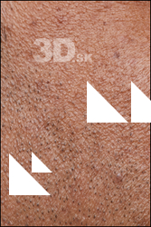  HD Face Skin Steven Hungan 