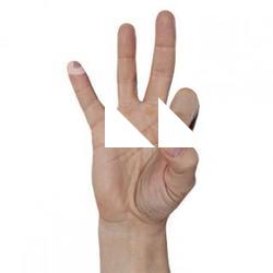 Richard_Raw_Hand_Scan