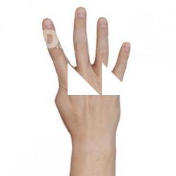Richard_Raw_Hand_Scan