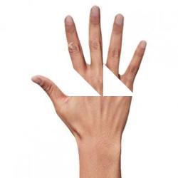 Aisha_Bonobo_Retopo_Hand_Scan