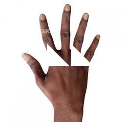 Senedra_Graves_Retopo_Hand_Scan