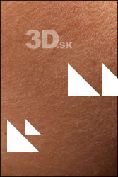  HD Face Skin Samuela Ruiz 