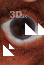  HD Eyes Gael Casaus 