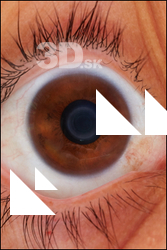  HD Eyes Angelika Garcia 