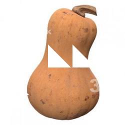 Food_Pumpkin_3D_Scan