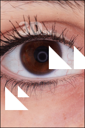 HD Eyes Jessie Clark 