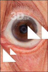  HD Eyes Ike Hidetsugu 