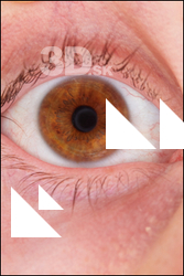  HD Eyes Joel 