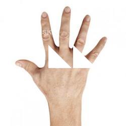 Jake_Perry_Retopo_Hand_Scan