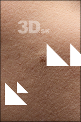  HD Face Skin Figgy 