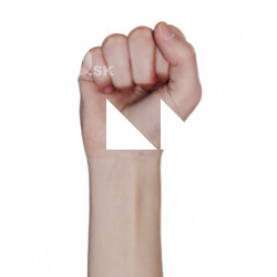 Figgy_Raw_Head_Scan_Fist