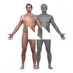 Dash_Clean_A_Pose_Scan_Nude