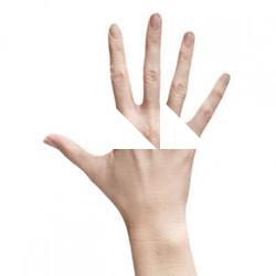 Elizabeth_Davies_Retopo_Hand_Scan