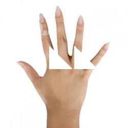 Emmalyn_Francis_Retopo_Hand