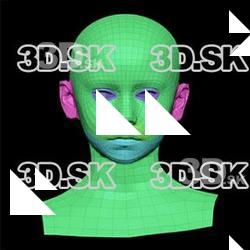 Retopologized 3D Head scan of Doroteya SubDivision