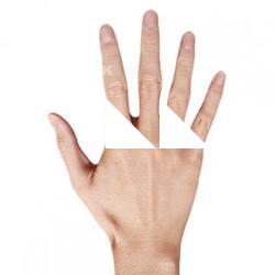 Arita_Yoshinaka_Retopologized_Hand