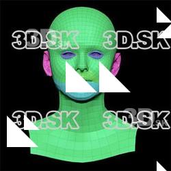 Retopologized 3D Head scan of Lenny SubDivision