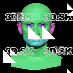Retopologized 3D Head scan of Tranggono Tao SubDivision