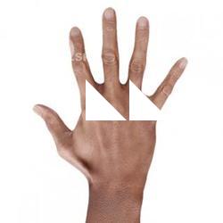 Tranggono_Tao_Retopologized_Hand