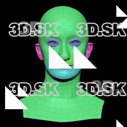 Retopologized 3D Head scan of Anbara Usman SubDivision