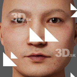 Kawakami Nichiren Metahuman Diffuse Head Skin