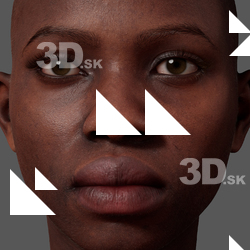 Senedra Graves Metahuman Diffuse Head Skin   
