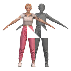 Iris Clean A Pose Scan Clothed