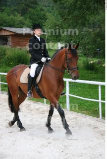 Horsewoman # 1