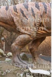 Leg Dinosaurus-Thyranosaurus