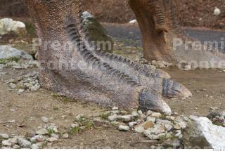 Thyranosaurus Rex