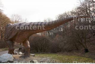 Thyranosaurus Rex