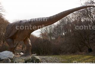 Thyranosaurus Rex