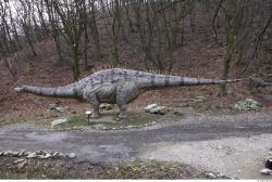 Whole Body Dinosaurus-Diplodocus