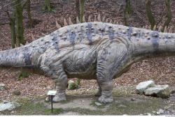 Chest Dinosaurus-Diplodocus